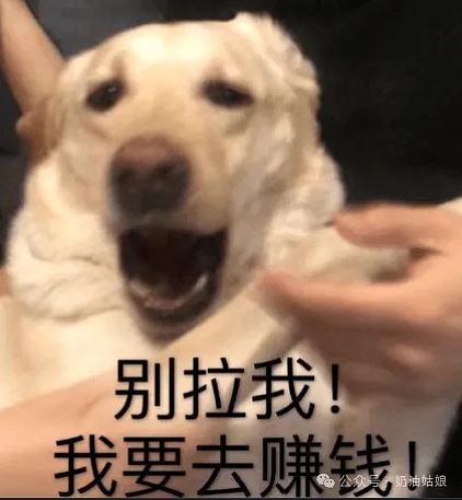经济学家警告：美联储的软着陆美梦恐怕要碎