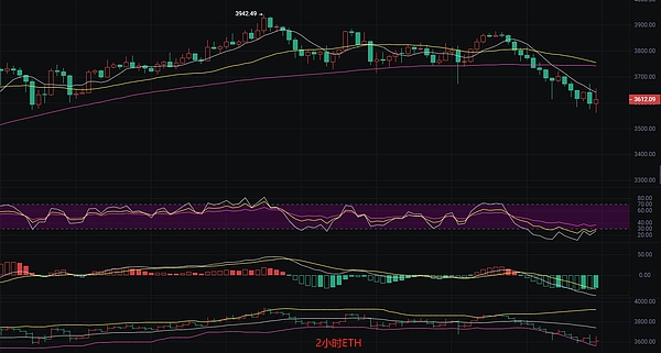CoinW越南线下活动：一场加密爱好者的狂欢盛宴