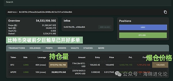 元宇宙的下一站：探索自治世界的文化基因