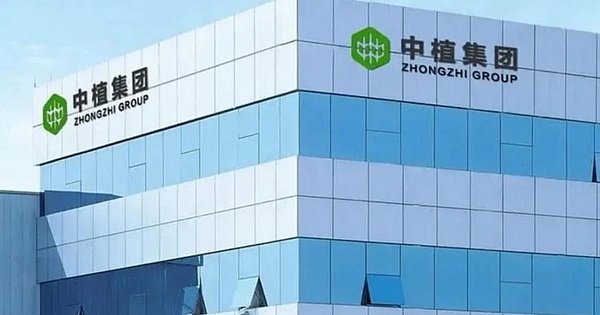 当传统美酒遇上区块链：一场全民参与的数字化革命