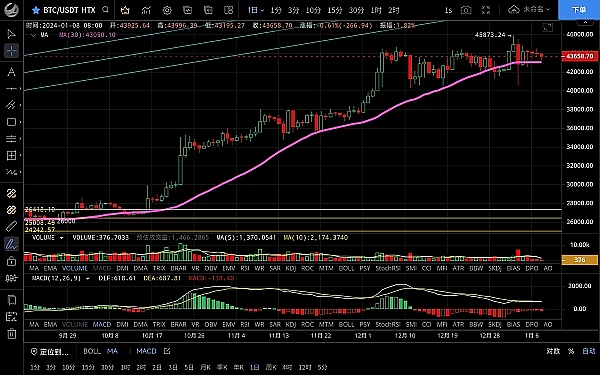 绿洲基金会：打造风投界的联合国