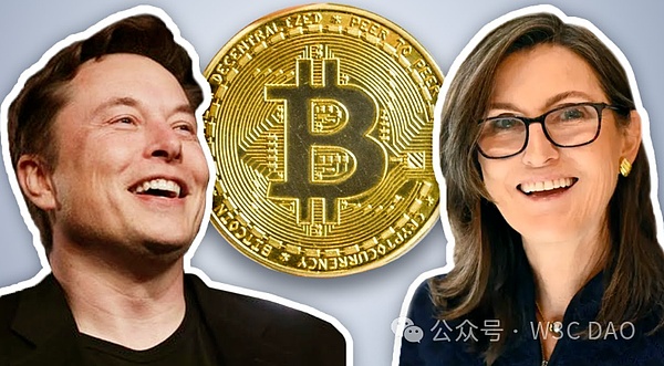 Floki Inu暴涨背后：机遇与风险并存的加密市场博弈