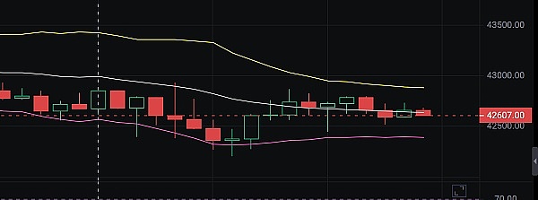 惊！神秘巨鲸狂砸9亿狗狗币进币安，市场要变天？