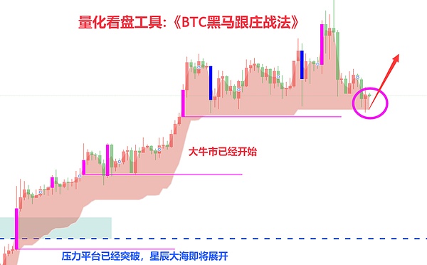 币圈上演绝地反击 有人欢喜有人忧