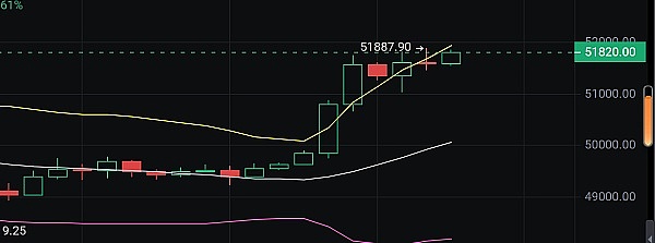 加密货币暗箱操作：市场里的那些猫腻