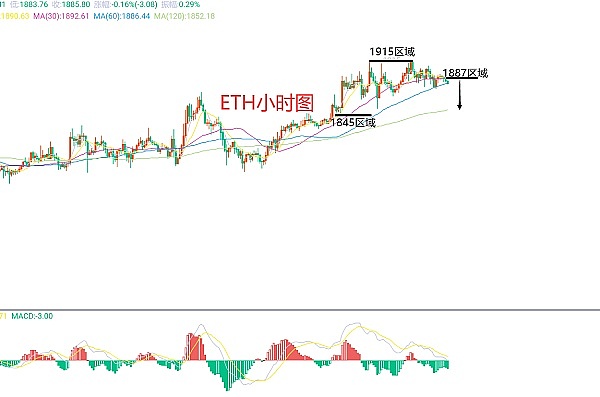 神秘的鲸鱼玩家在搞什么？