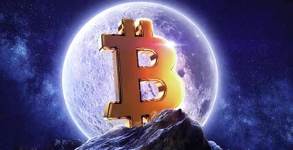 NFT投资指南：两条截然不同的财富之路