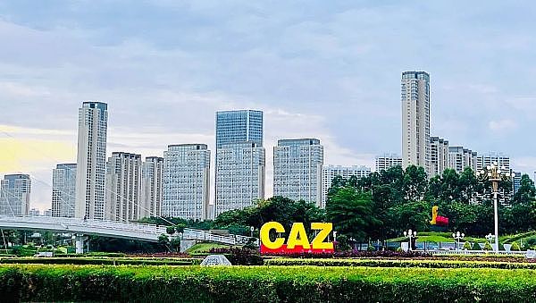 华尔街正在区块链上重生：股票代币化的前世今生