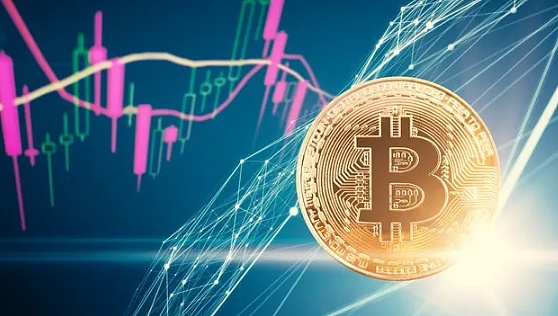 牛市情绪下的加密货币投资之道：我的市场观察笔记