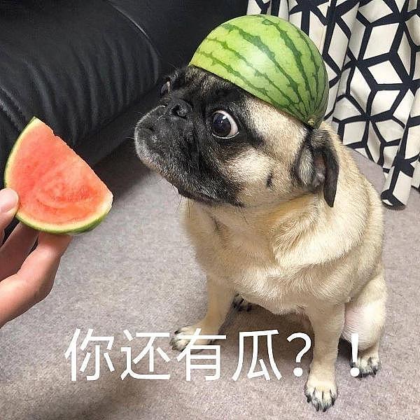 加密货币狂热下的冷思考：五篇深度解析带你穿透市场迷雾