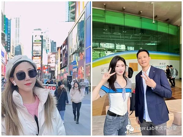 比特币即将爆发？历史数据揭示惊人投资机遇