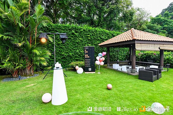 BNBAI：币安生态的新晋小生，如何搅动加密世界格局？