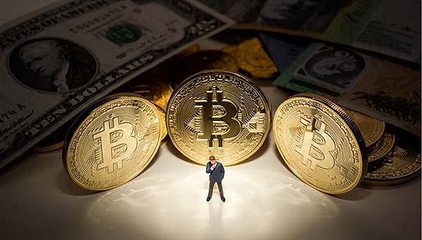 TRB创一年新高背后：狂欢中的危机信号